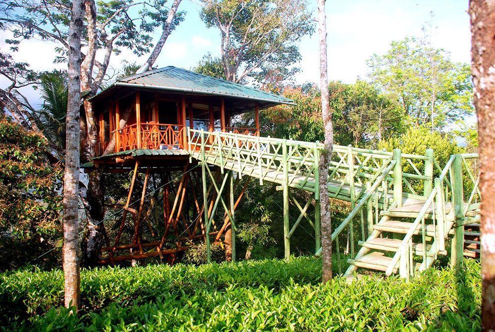 Dream Catcher Resort Мунар Екстериор снимка